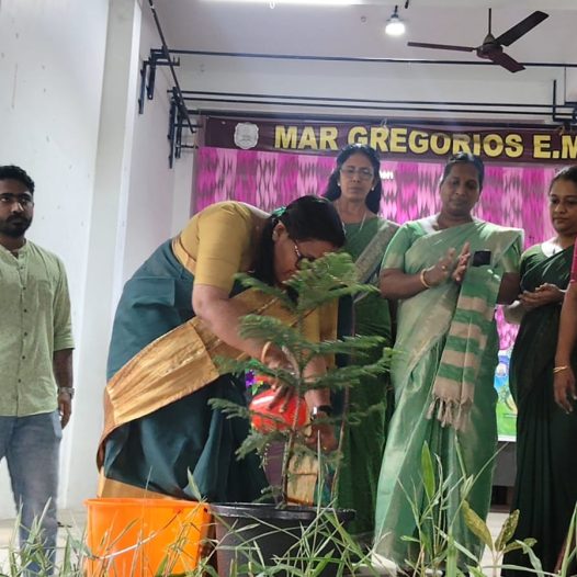 WORLD ENVIRONMENT DAY